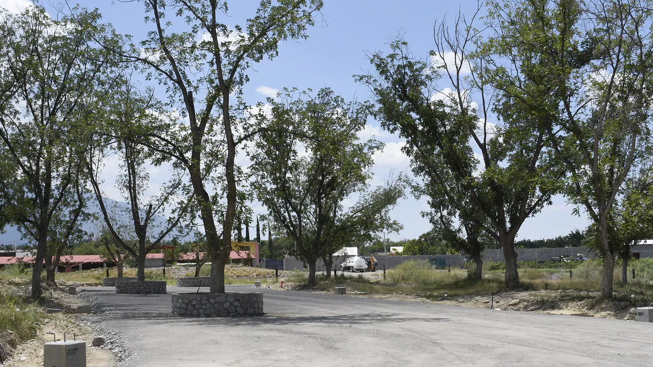 Otra calle del desarrollo bajo el arbolado ya trazado