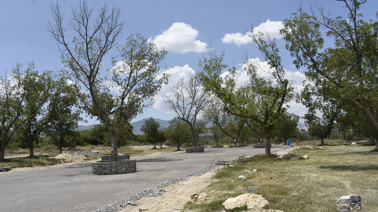 Calle pavimentada del desarrollo, con la sierra de Parras al fondo